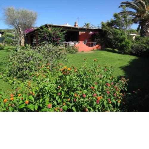 Villa 200 mt from the beach - Baja Sardinia