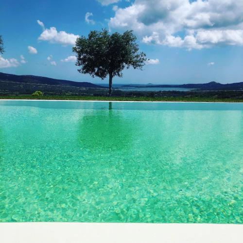 Villa Alba - Piscina Privata