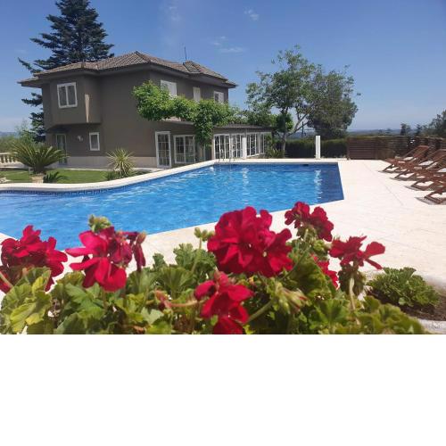 Villa Alcover
