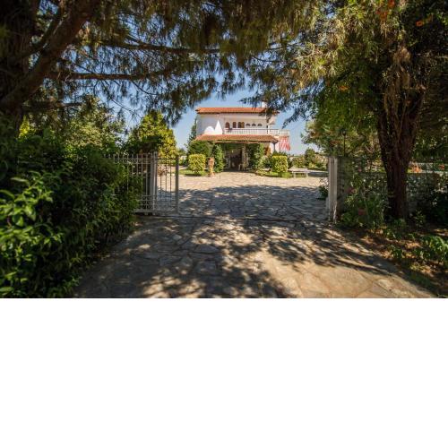 Villa Ampelos