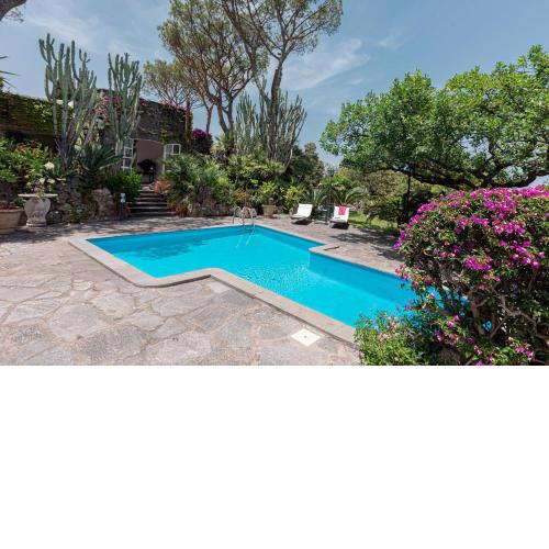 Villa Barkley - luxury villa with a pool by Elite Villas
