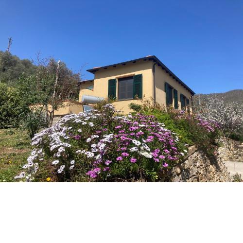 Villa Bella