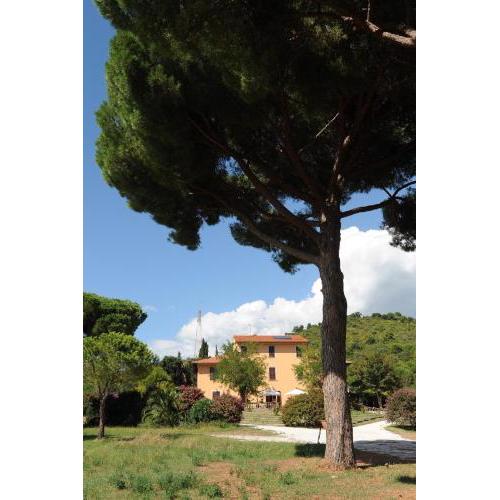 Villa Boldrini b&b