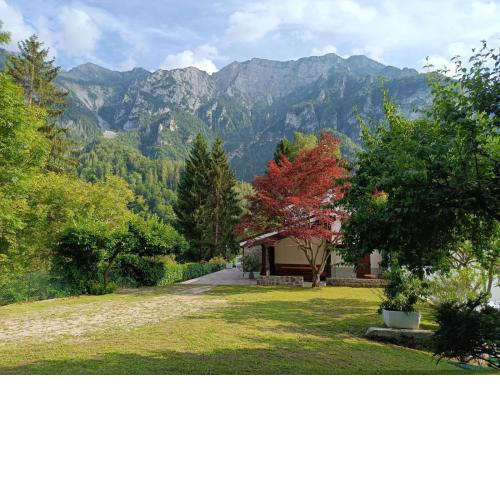 Villa Bordogna