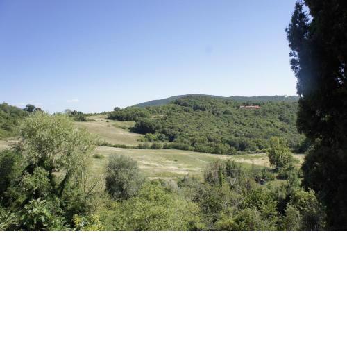 Villa Borgo la Fungaia