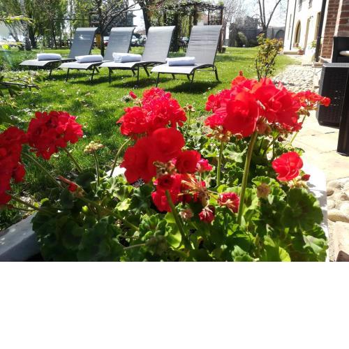 VILLA BOTTERA with Jacuzzi in the garden Cuneo Langhe Piemonte