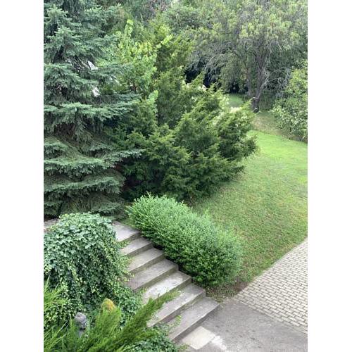 Villa Buda w/ Free Parking