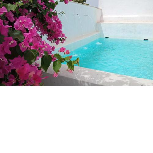 Villa Buganvillas, relax con piscina privada a pocos minutos de la Barrosa y Santi Petri