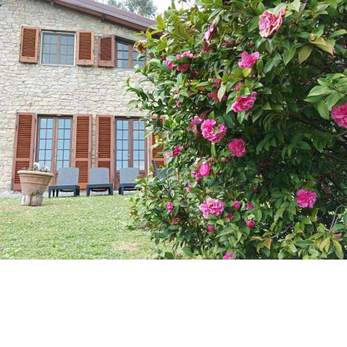 Villa Camelia Tuscany