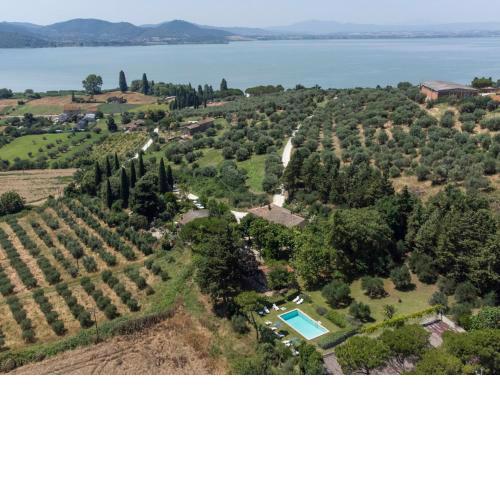 Villa Casale dei tigli by Interhome
