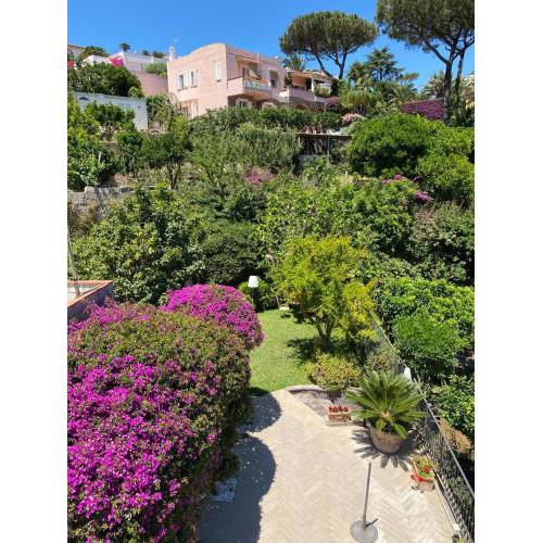 Villa chiara