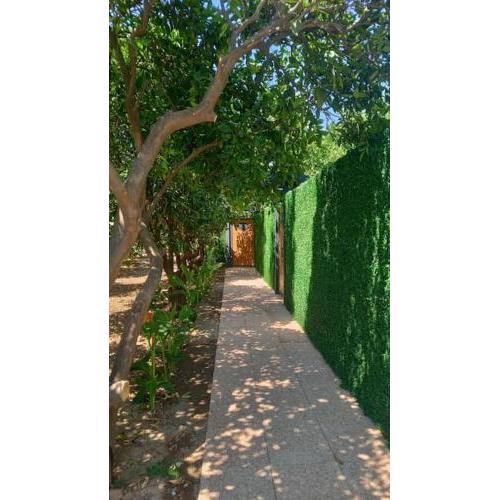 Villa citrus