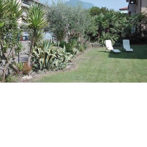 Villa Citrus
