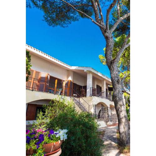 Villa Clelia