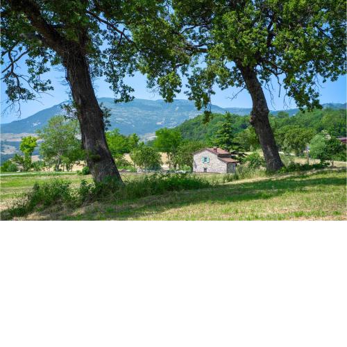 Villa Coccole