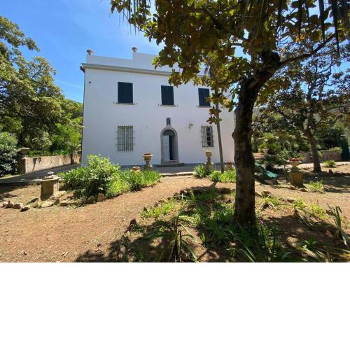 Villa con ampio giardino a due passi dal mare