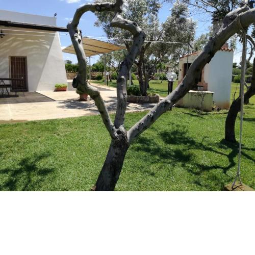 VILLA CON LAMIONE ANTICO