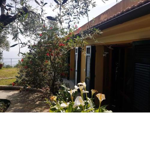 Villa con vista mare e piscina