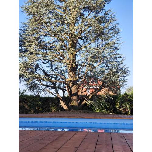 Villa Cresto