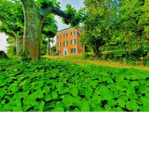 Villa De Benedetti