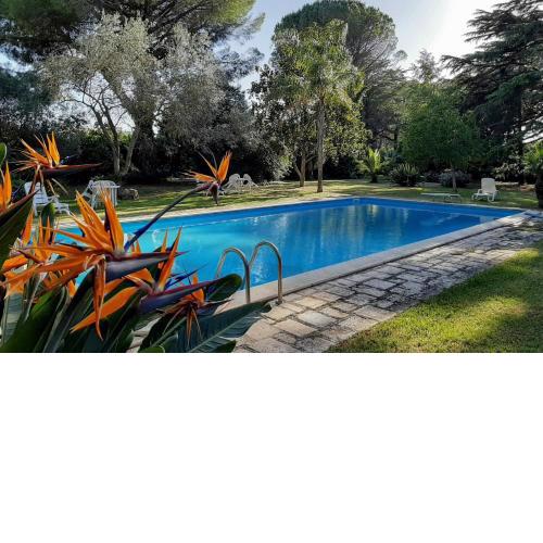 Villa De Leva