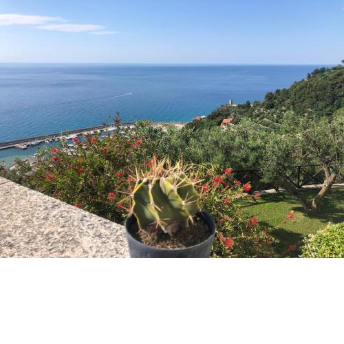 Villa Degli Ulivi B&B