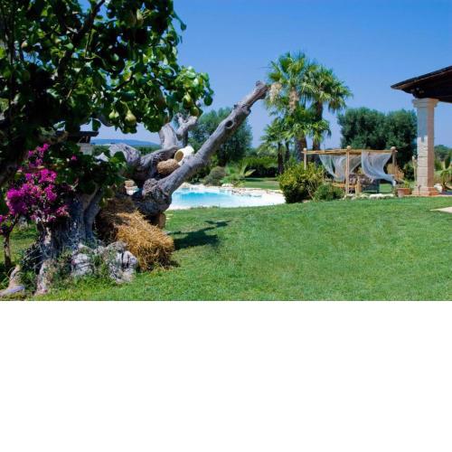 Villa Degli Ulivi