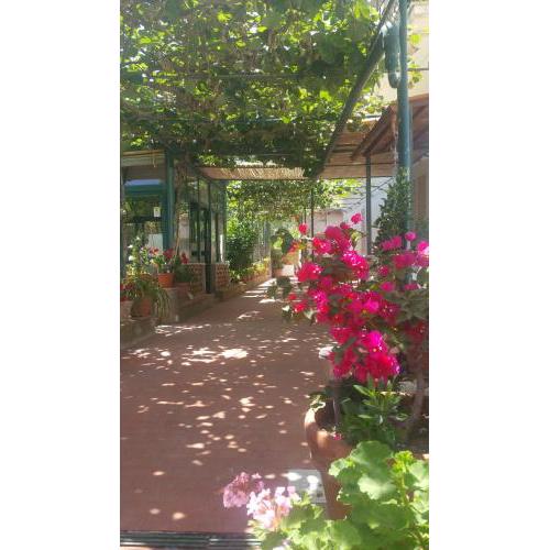 Villa dei fiori B&B
