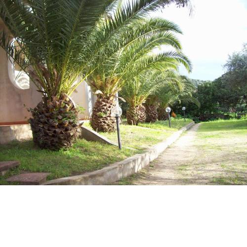 Villa del Palmeto