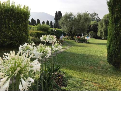 Villa Del Papa