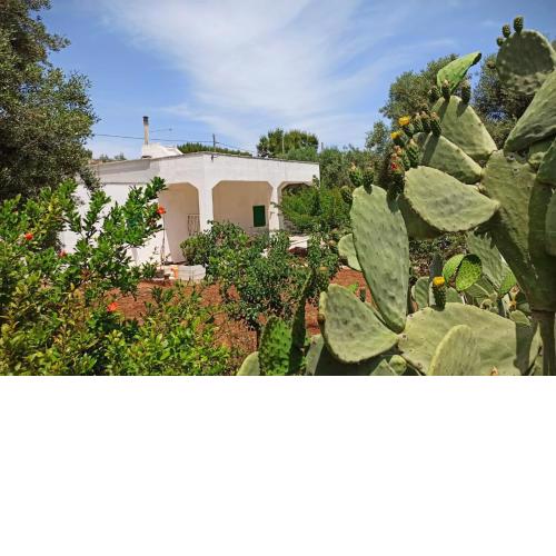 Villa della Nonna