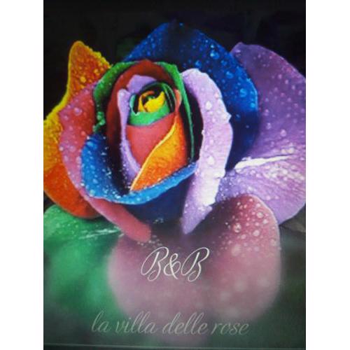Villa delle Rose