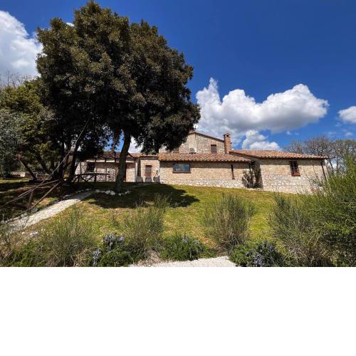 Villa Disba