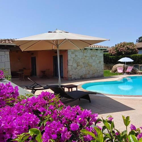 Villa DiVi