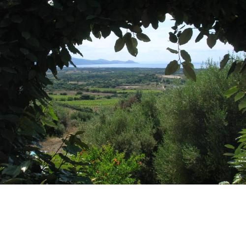 Villa Domenica