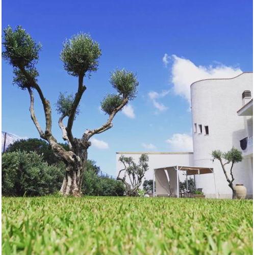 Villa Eagle