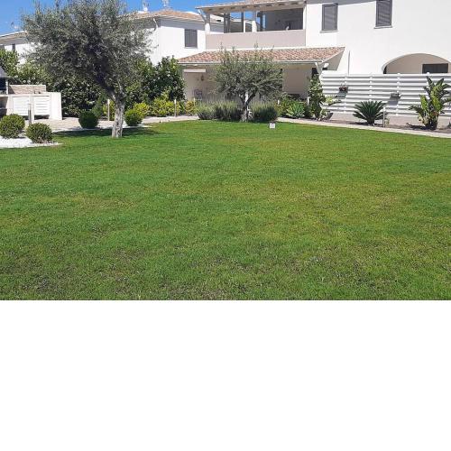 Villa elemiri