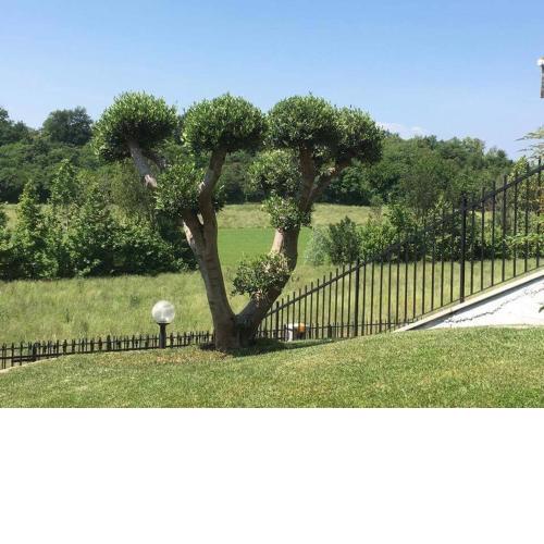 Villa Elisa Relax