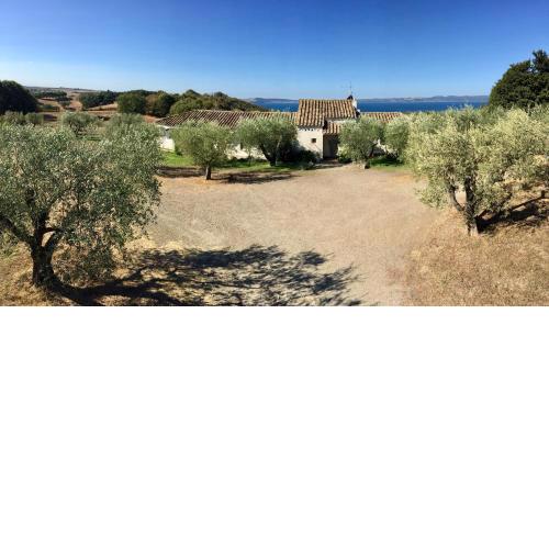 Villa Fonte Tartaruga Trevignano Romano