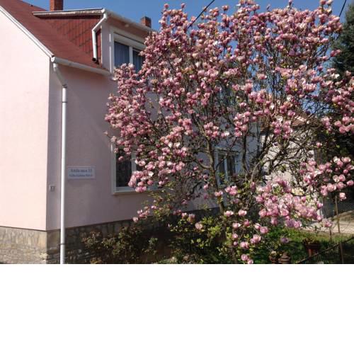 Villa Galina Hévíz