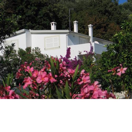 Villa Giulia - Apartment in Villa with sea view