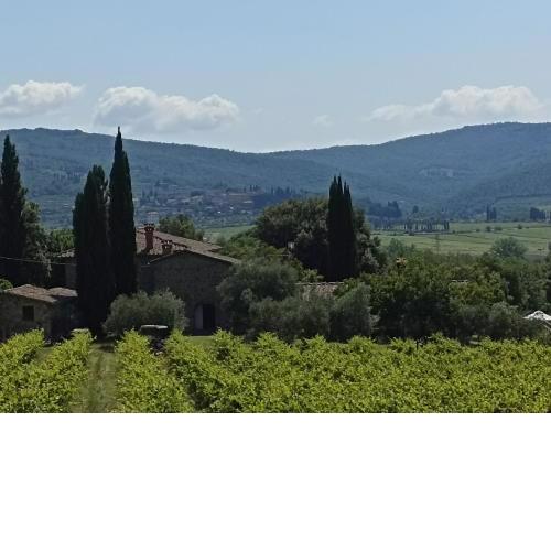 villa I Lecci nel chianti