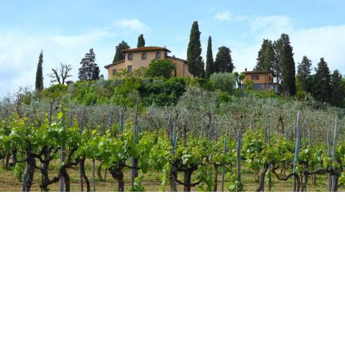 Villa Il Colto