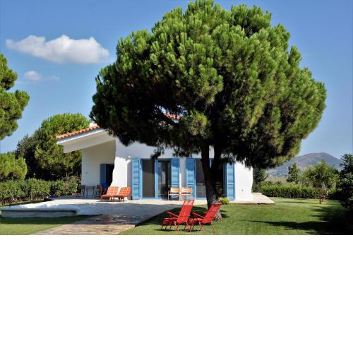 Villa in Marathonos