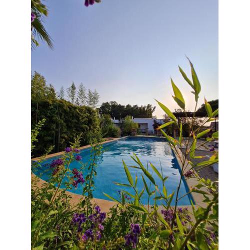 Villa in Salento - Piscina e Ampio Giardino