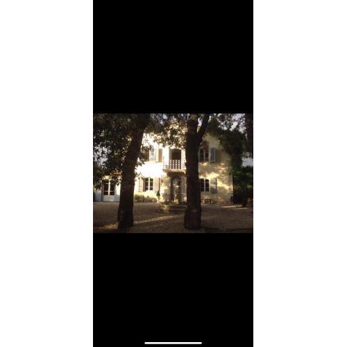 Villa in Versilia con dependance e piscina privata