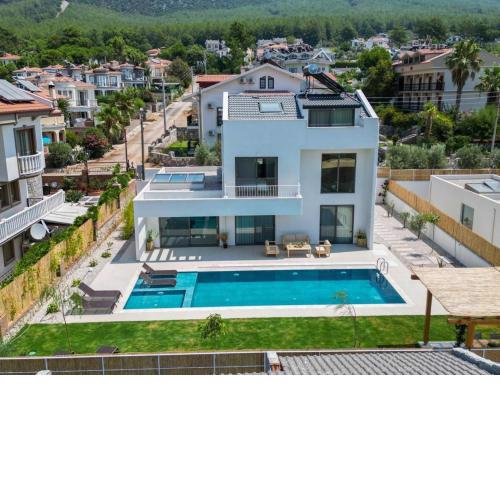 Villa ion