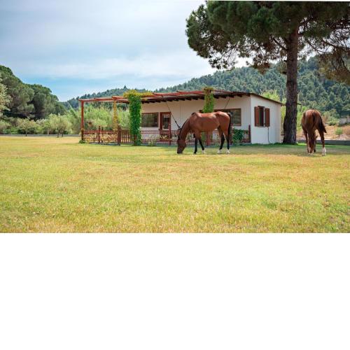 Villa Ippoliti