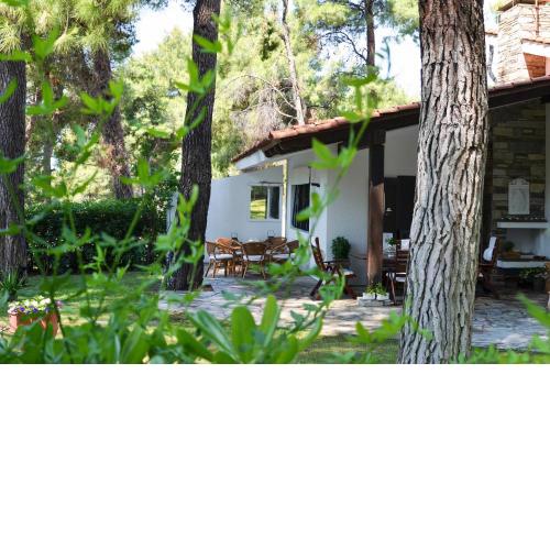 Villa Irini in Sani