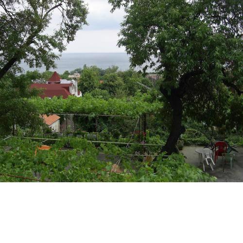 Villa Jana